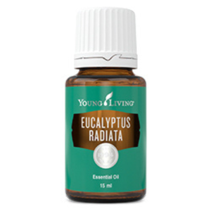 Known for it's fresh aroma, Eucalyptus Radiata essential oil is ideal for massage or helpful with respiratory and viral infections.